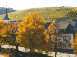 Weinlage Kirchberg